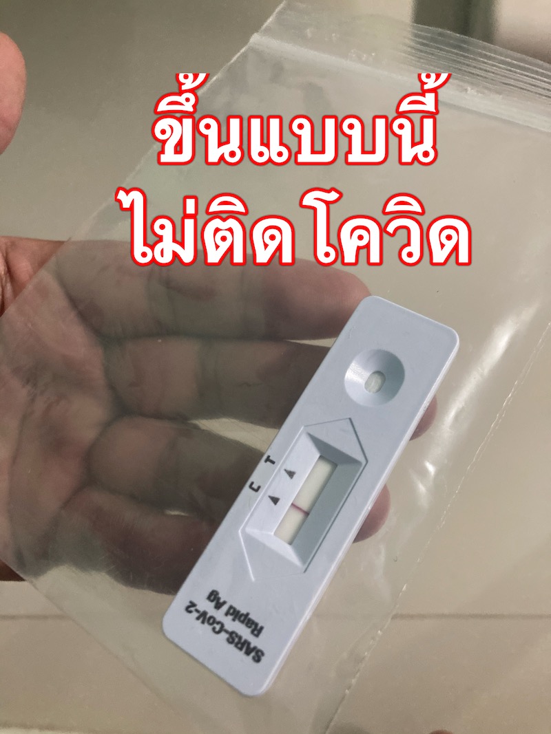 ตรวจโควิดง่ายๆ ด้วยตัวเอง ภายใน 3 นาทีรู้ผล วิธีใช้ ชุดตรวจโควิด 19 และ ชุดตรวจโควิดชื้อที่ไหน ชุดตรวจโควิดราคา เท่าไร